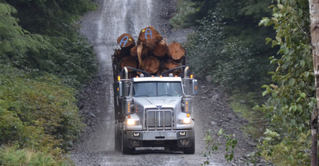 Safety First: Developing an Emergency Response Plan